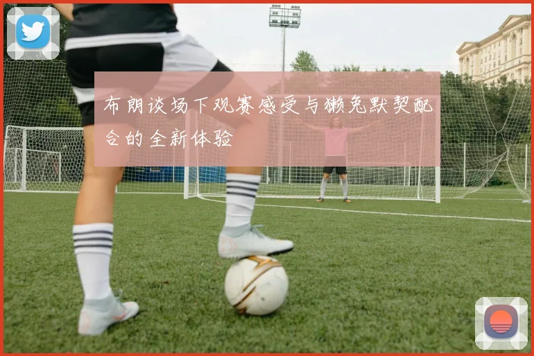 布朗谈场下观赛感受与獭兔默契配合的全新体验